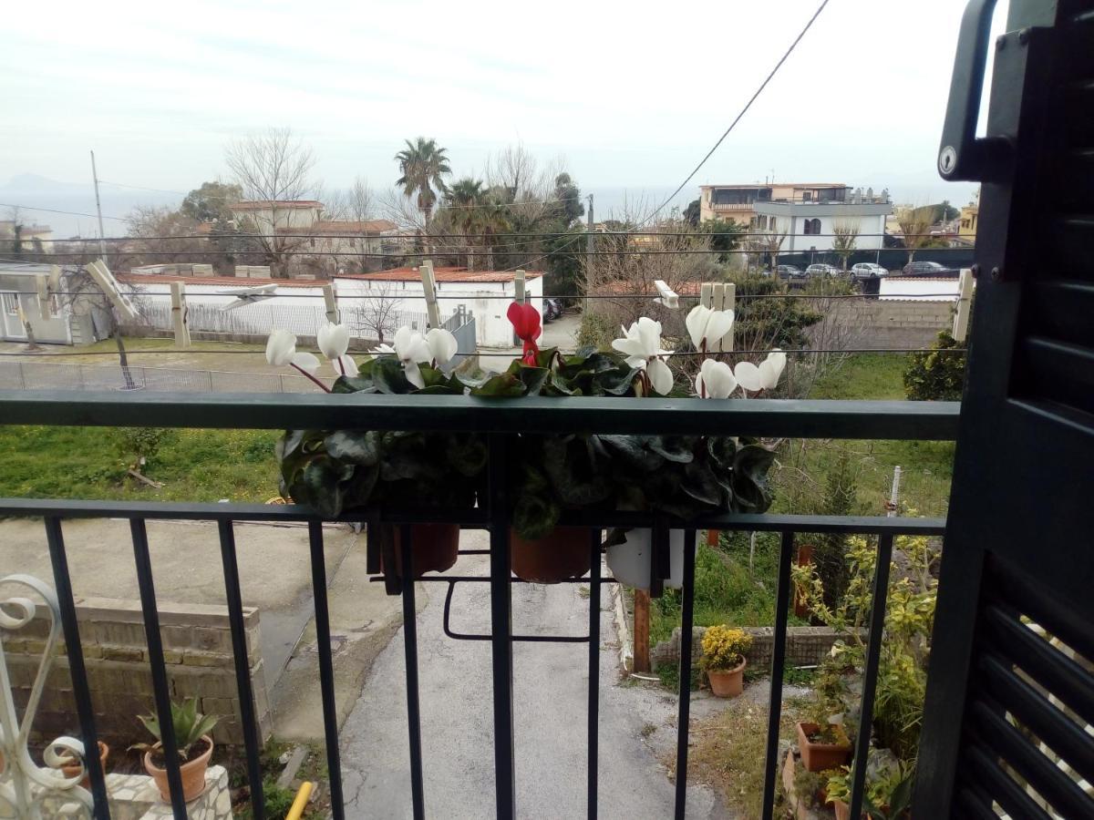 Casa Vacanze Da Rosy 에르콜라노 외부 사진